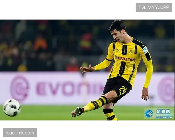 梅里诺技术实现重大突破，引领足球行业迈向革新与可持续发展