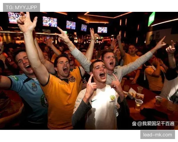 欧洲杯点燃激情：球迷狂欢共襄盛举，球队状态回暖引关注